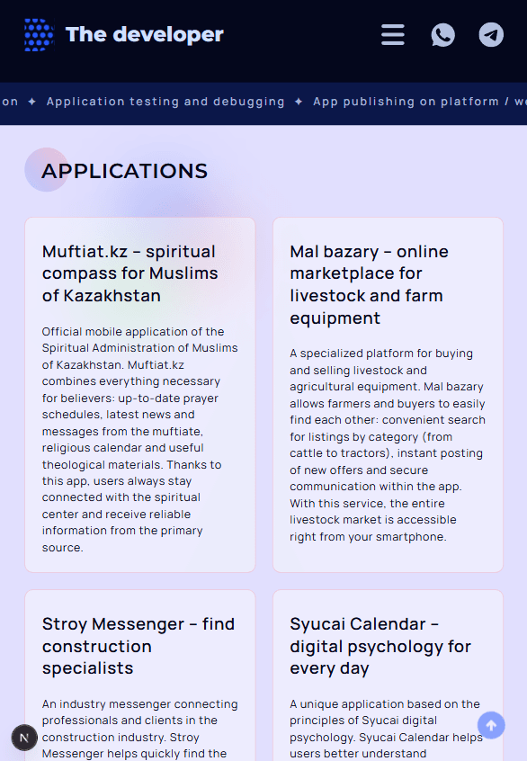Turnkey landing page Thedeveloper